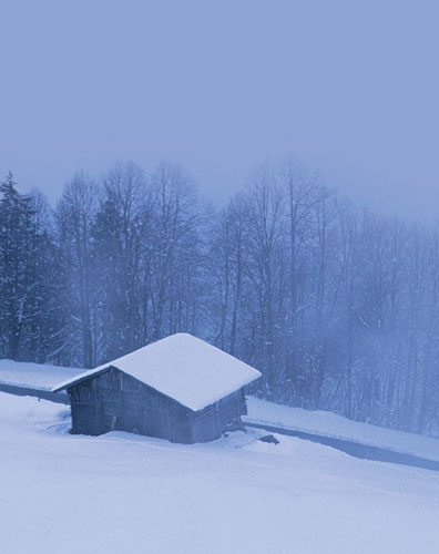 Signet Cabane neige