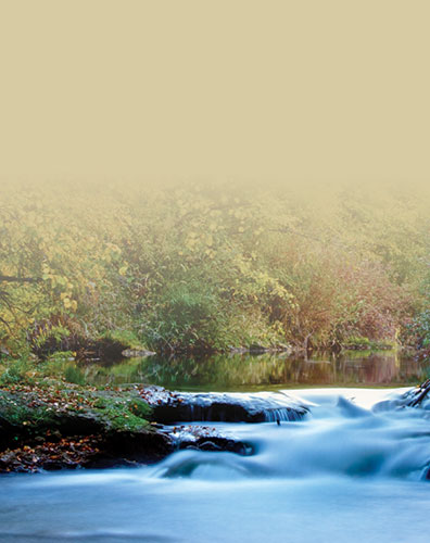 Signet Chute d'eau